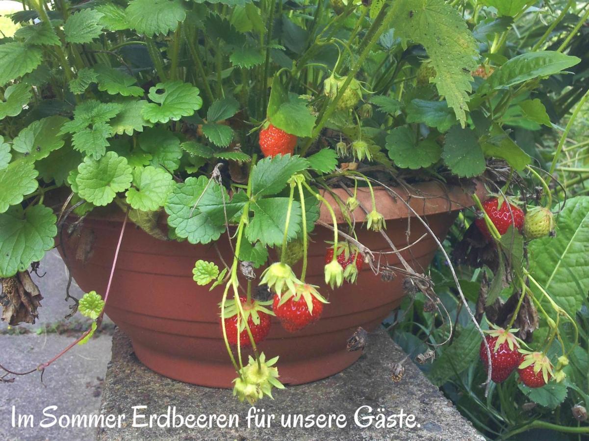 Ferienwohnung Am Ellerbach Hessisch Oldendorf Buitenkant foto